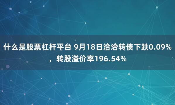 什么是股票杠杆平台 9月18日洽洽转债下跌0.09%，转股溢价率196.54%