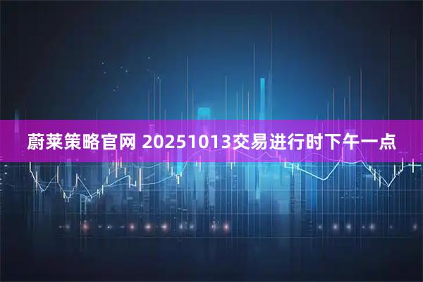 蔚莱策略官网 20251013交易进行时下午一点