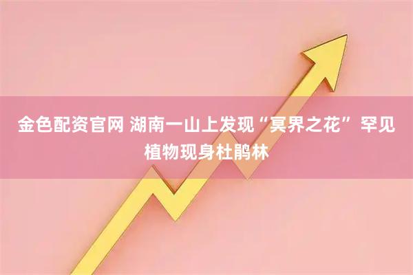 金色配资官网 湖南一山上发现“冥界之花” 罕见植物现身杜鹃林