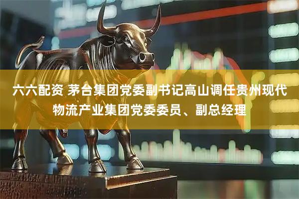 六六配资 茅台集团党委副书记高山调任贵州现代物流产业集团党委委员、副总经理