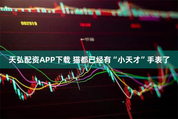 天弘配资APP下载 猫都已经有“小天才”手表了